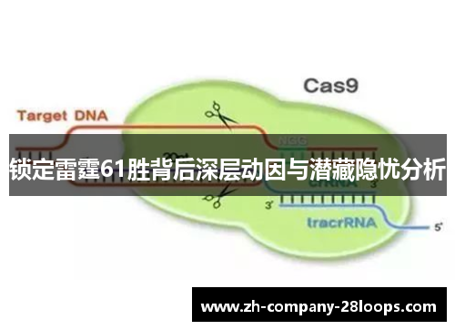 锁定雷霆61胜背后深层动因与潜藏隐忧分析