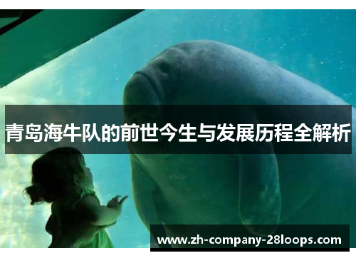 青岛海牛队的前世今生与发展历程全解析