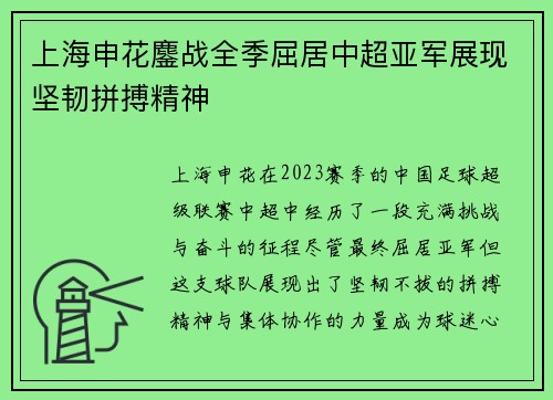上海申花鏖战全季屈居中超亚军展现坚韧拼搏精神